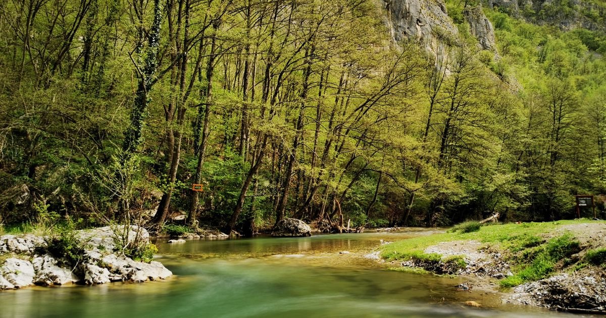 Nesvakidašnja životinja snimljena u blizini reke Gradac: Kamera zabeležila prelepu fotografiju