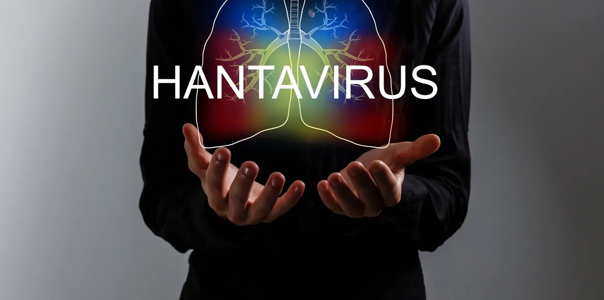 Kako se širi andski hantavirus i šta je naučeno iz epidemije u Argentini 2018. godine?