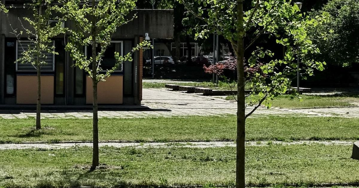 Procter&Gamble renovira školsko dvorište u Beogradu, volonteri zasadili nekoliko drveća i biljaka