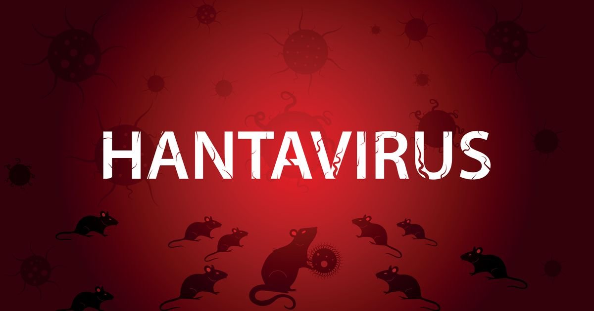 Šta se do sada zna o širenju hantavirusa? Povećan broj zaraženih, može ih biti i mnogo više, ovo su ČINJENICE!