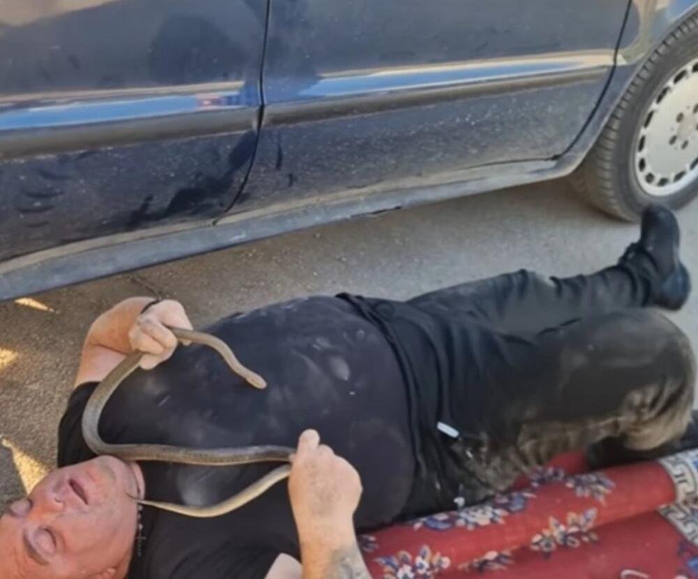 VLADICA IZVUKAO OGROMNU ZMIJU IZ MERCEDESA! Na Đurđevdan imao težak zadatak, POGLEDAJTE SAMO GDE SE SAKRILA (VIDEO)