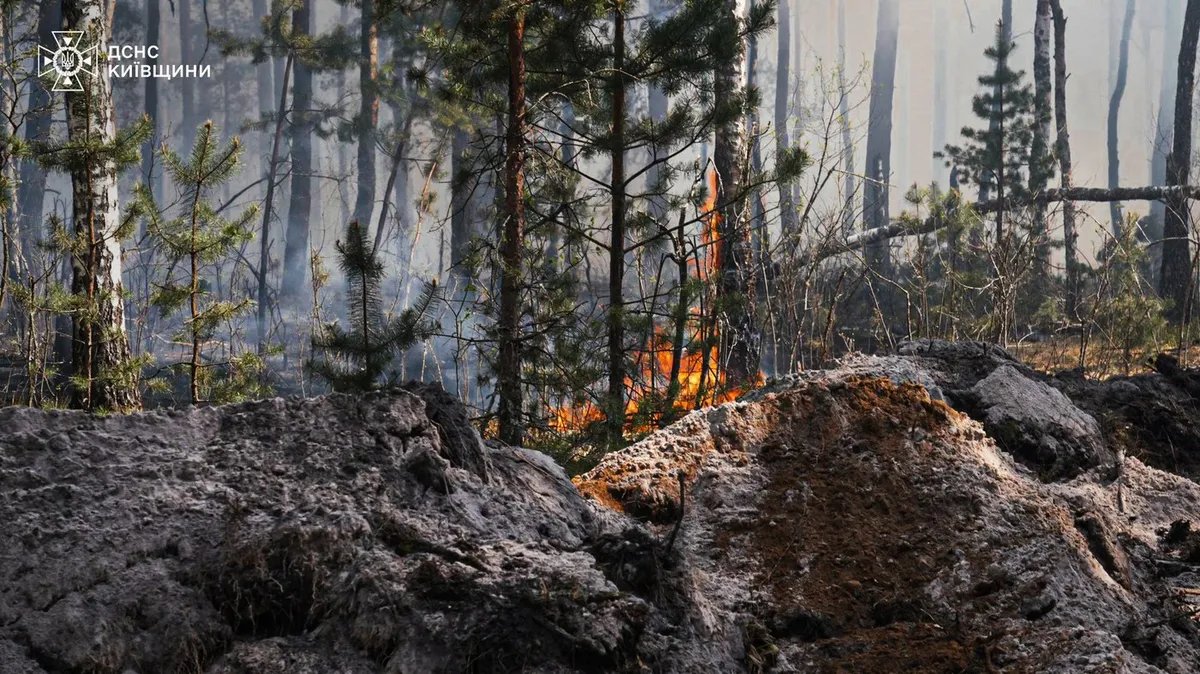 FOTO Veliki požar kod Černobilja: Pao dron, vatra se širi zbog jakog vetra