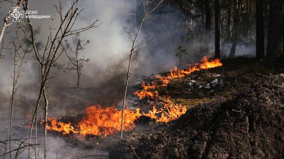 (FOTO) Veliki požar u blizini Černobilja, radijacija trenutno stabilna