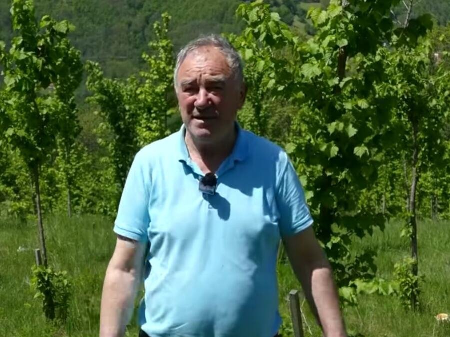 Radisav se iz Austrije vratio u selo kod Bajine Bašte i zasadio hiljade stabala - napravio svoju šumu (FOTO)