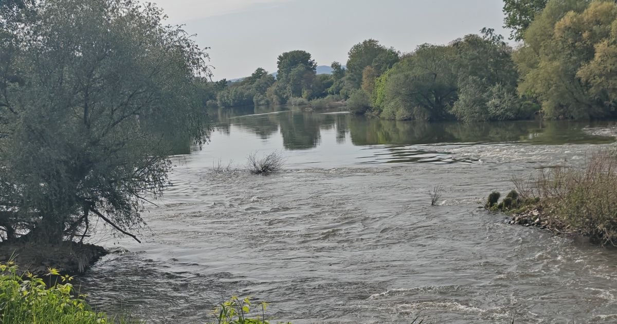Skrivene tajne Velike Morave: Pažljivo pogledajte OVE SLIKE, samo kada "reka utihne" vidi se pravo BLAGO!