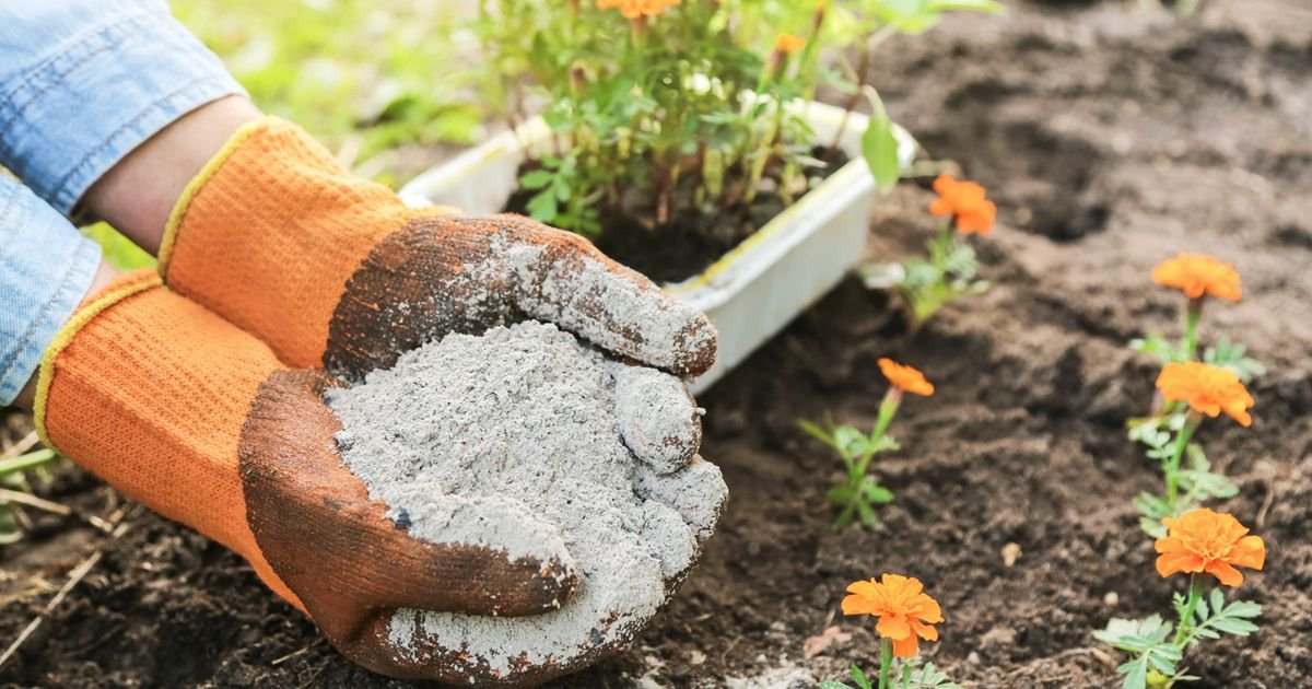 Pepeo i talog kafe nisu za svaku biljku: Evo gde grešite i zašto vam sve vene
