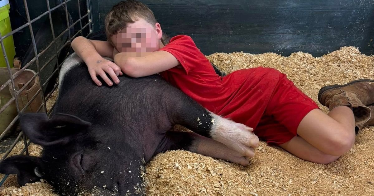 Komšije ubile svinju autističnog dečaka (12): "Smejali su mi se, dok su nosili rukavice - a voda je ključala"