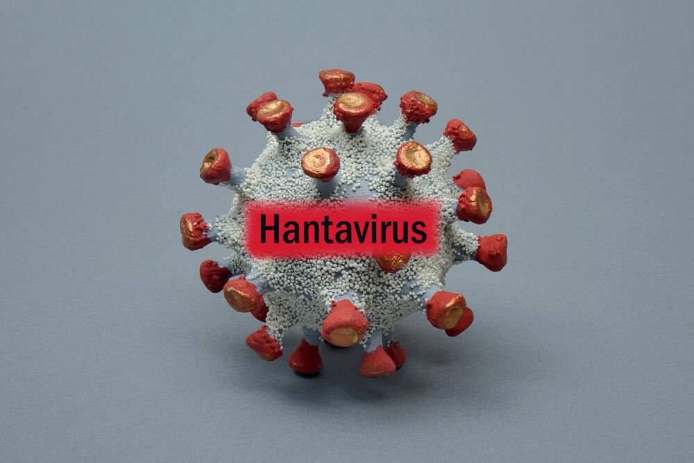 Ispovest Ivanjičanke koja je preživela opasni HANTAVIRUS: Imala sam mučninu i jake bolove, simptomi su...