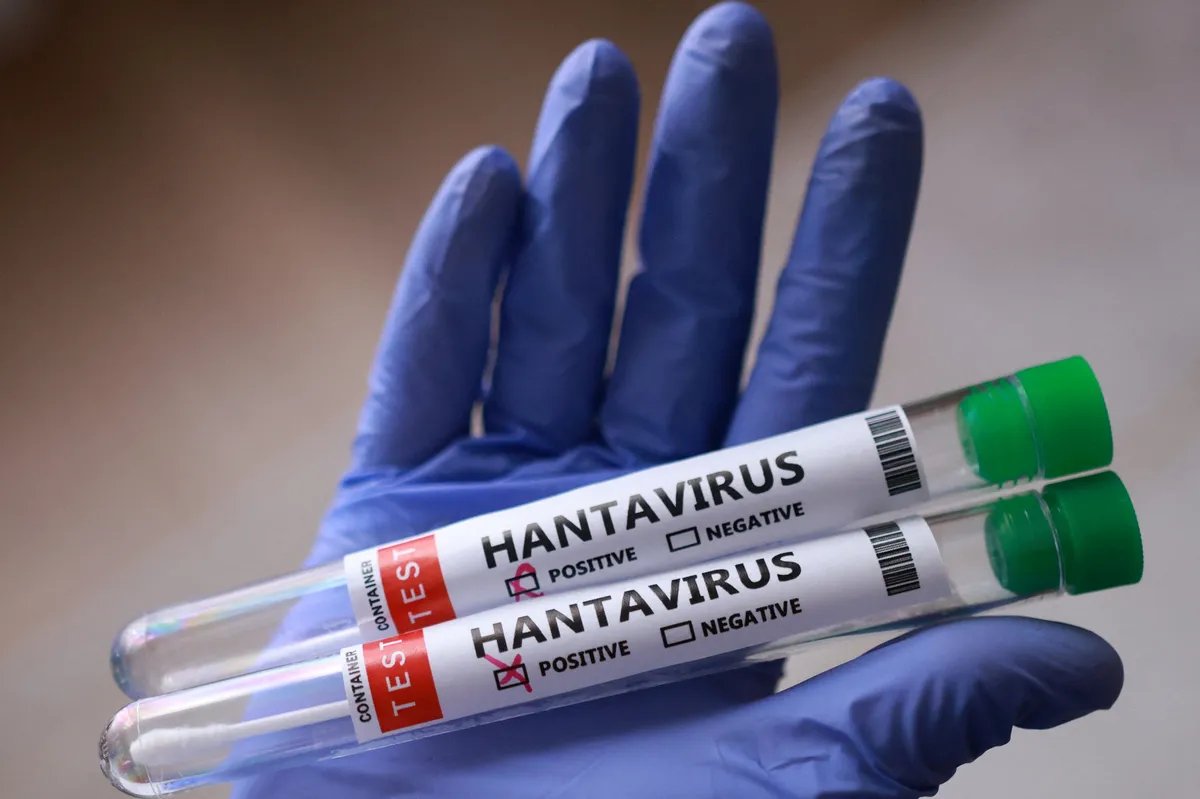 SZO: Situacija sa hantavirusom nije uporediva sa pandemijom kovida