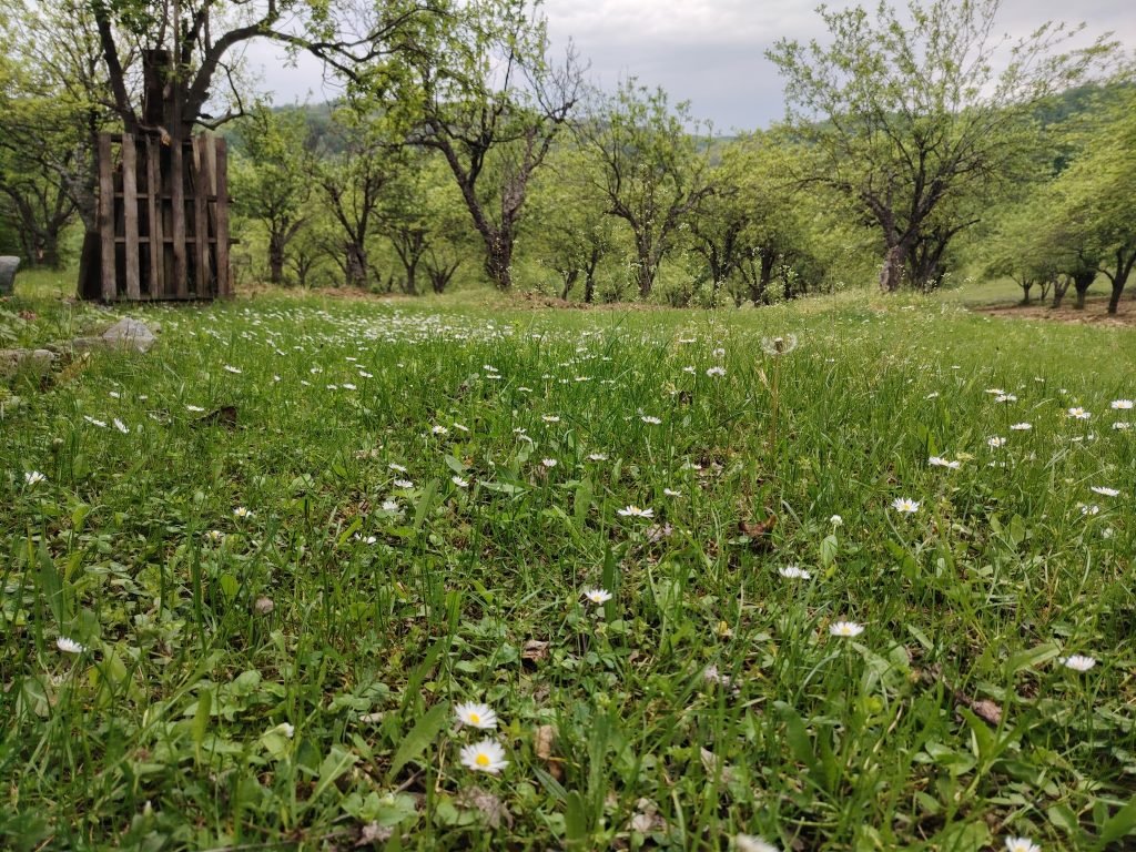 PRE PODNE SUNČANO: Popodne naoblačenje