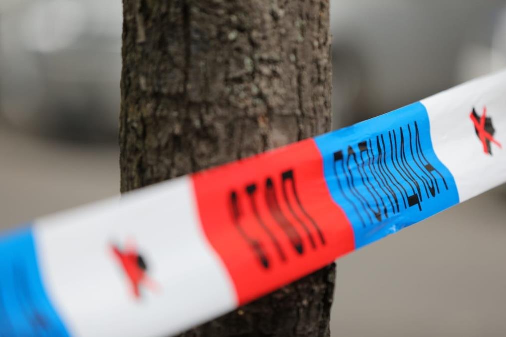 OSTAVIO OTROV NA LEŠU TELETA, POLICIJA ODMAH DOŠLA: Hapšenje u Svrljigu zbog trovanja crnog supa koji pripada Bugarskoj