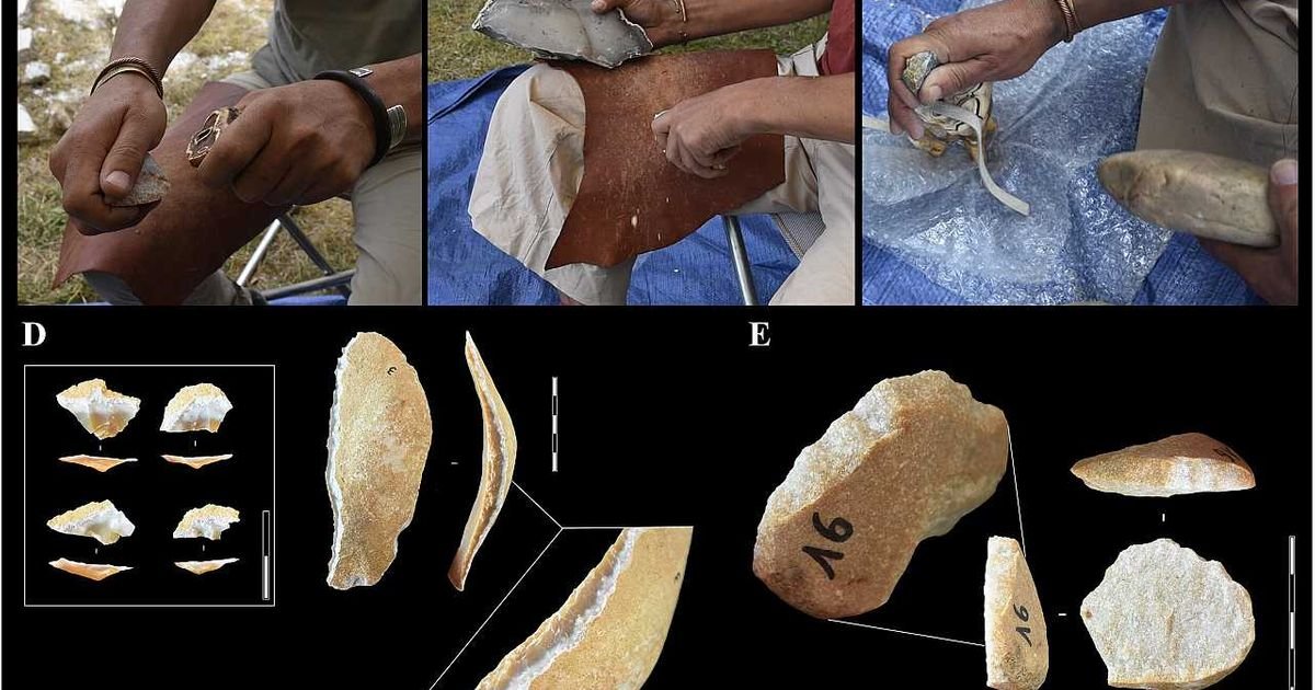 Eksperimenti sugerišu da su zubi nosoroga možda bili deo neandertalskog alata