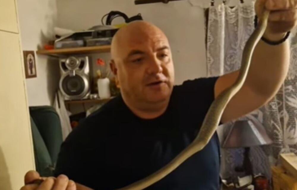 HOROR U PORODIČNOJ KUĆI KOD NIŠA: Ogromna ZMIJA iskočila iz ormara, ali Vladica Zmijolovac je rešio stvar! (VIDEO)