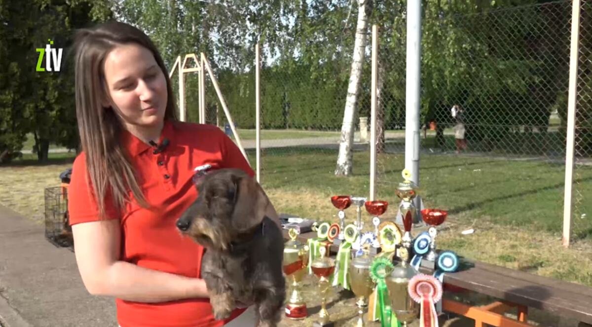 NA POKLON ZA ROĐENDAN OD RODITELJA DOBILA ODGAJIVAČNICU PASA: Zaječarci dobro znaju za Ivu i njenu ljubav prema psima, nastavlja porodičnu tradiciju (VIDEO)