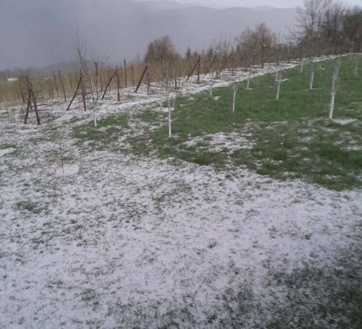 STIŽE SNAŽNO NEVREME, RHMZ PALI NARANDŽASTI METEO ALARM: Ovi delovi Srbije biće na najjačem udaru, padaće i grad (foto)