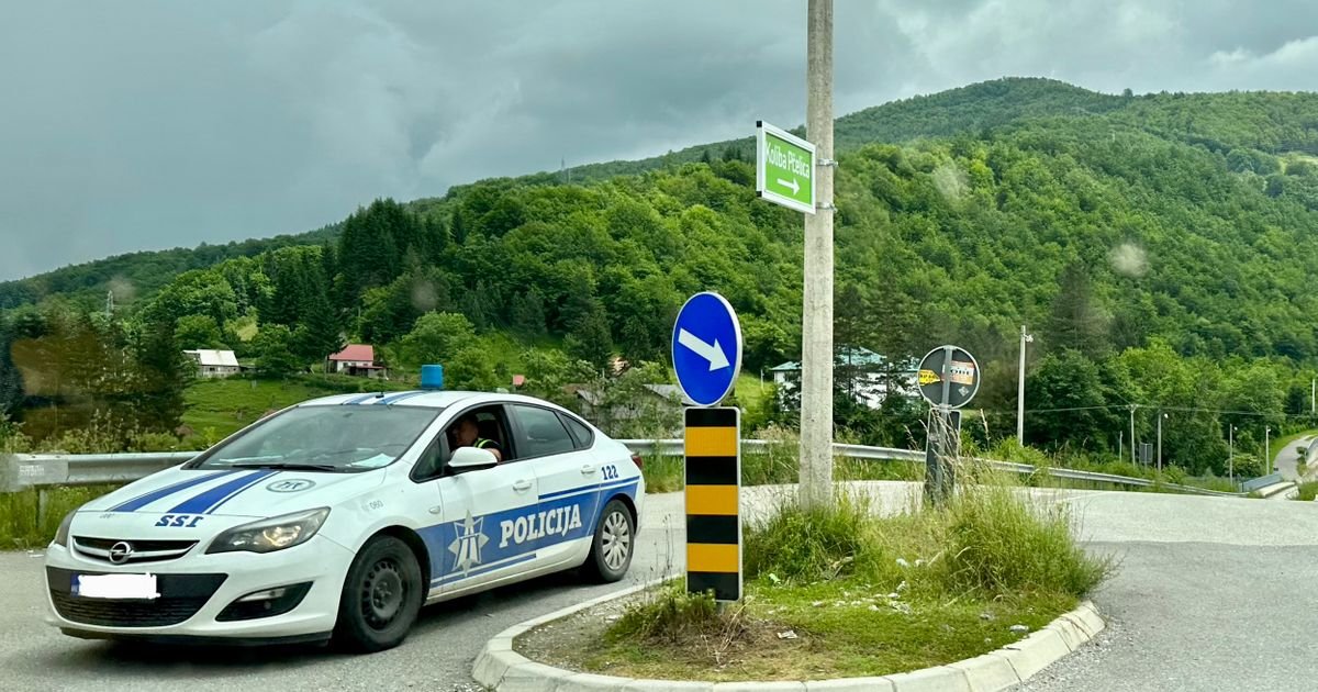 Bjelopoljac preminuo nakon ujeda pčele