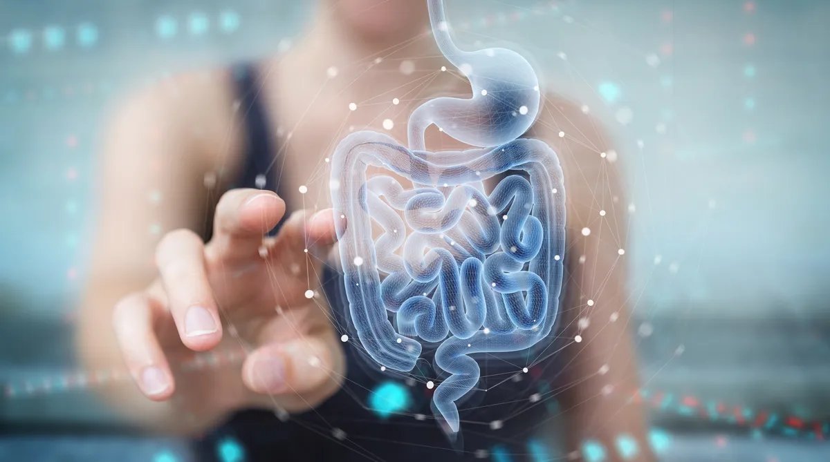 Nutricionisti: Ako želite zdravija creva u ishranu uključite četiri namirnice