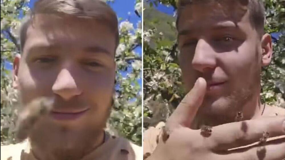 VASILIJE SE PREKRIO ROJEM PČELA, ONO ŠTO JE USLEDILO ĆE VAS OSTAVITI BEZ TEKSTA: Ljudi van sebe od prizora (VIDEO)
