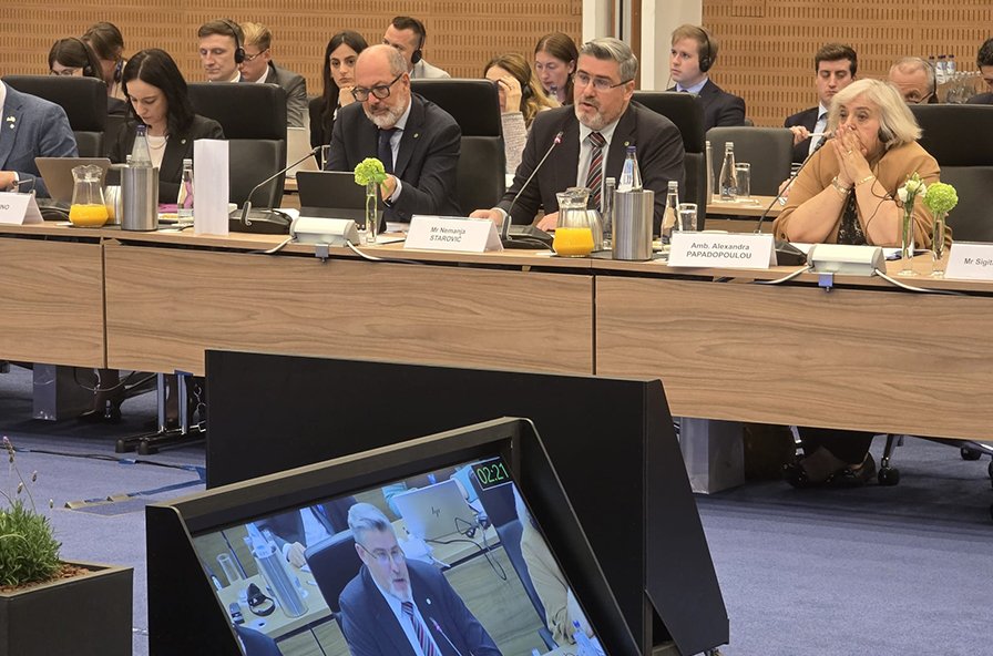 STAROVIĆ: Fazno pristupanje EU je most koji vodi ka punopravnom članstvu