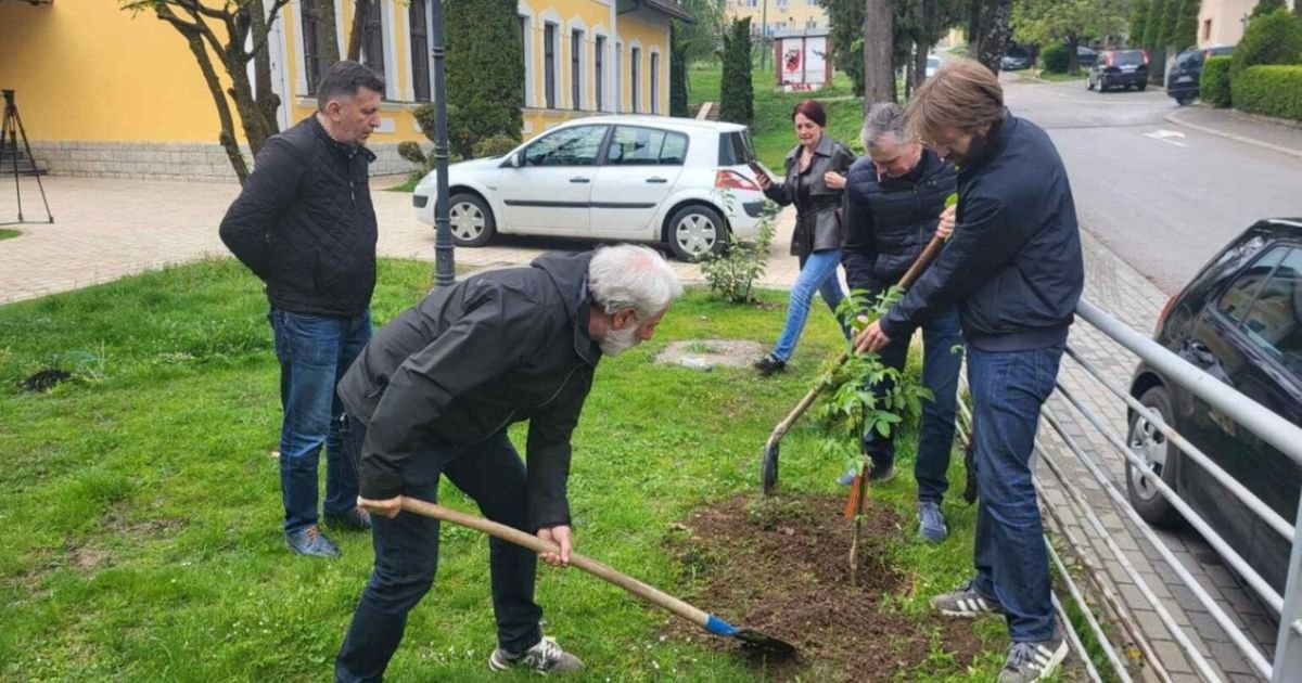 Drvo niklo na Avali iz džepa sahranjenog ruskog vojnika: Neverovatna priča o kavkaskom orahu!