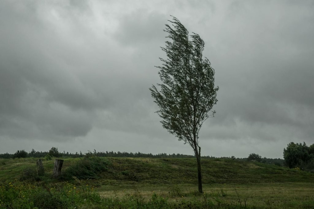 Jutro sveže, tokom dana promenljivo oblačno sa padom temperature i jakim vetrom