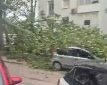 Snažno nevreme pogodilo Sloveniju i Hrvatsku: Vetar ruši stabla u Zagrebu
