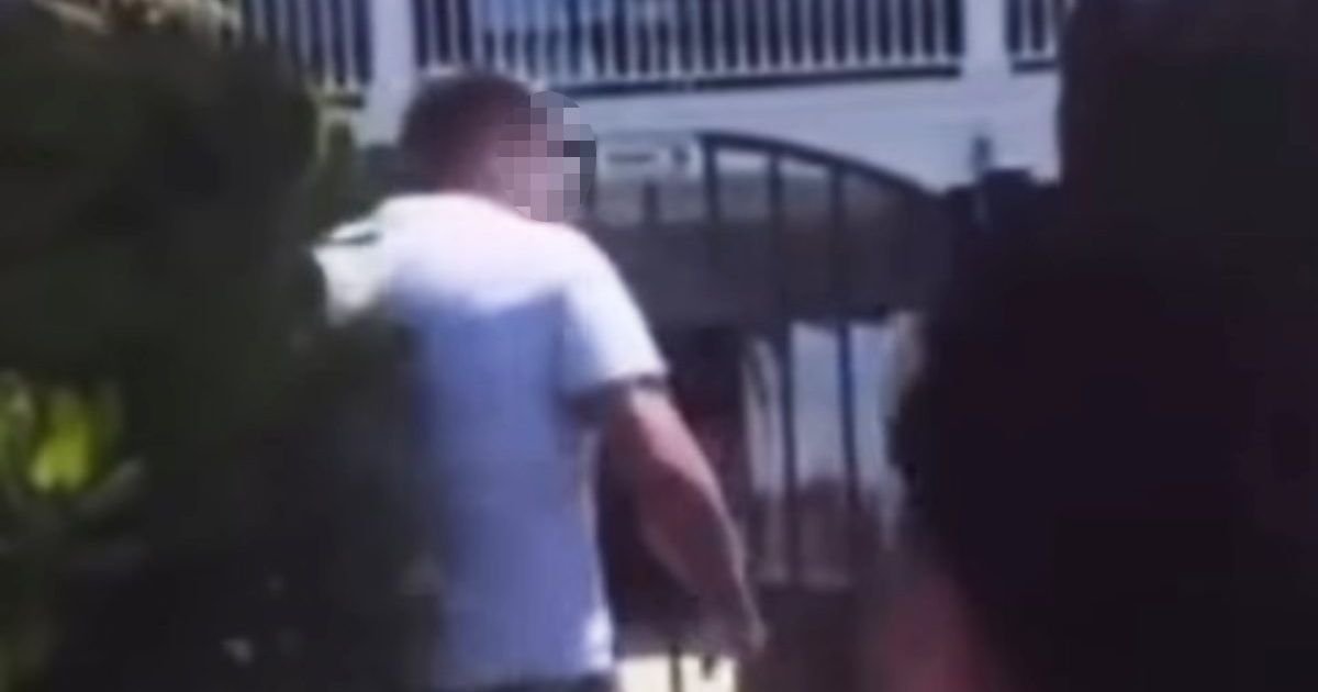 Turista gađao foku kamenom, a onda se pojavio lokalac i prebio ga: Sada ga slave kao "heroja"