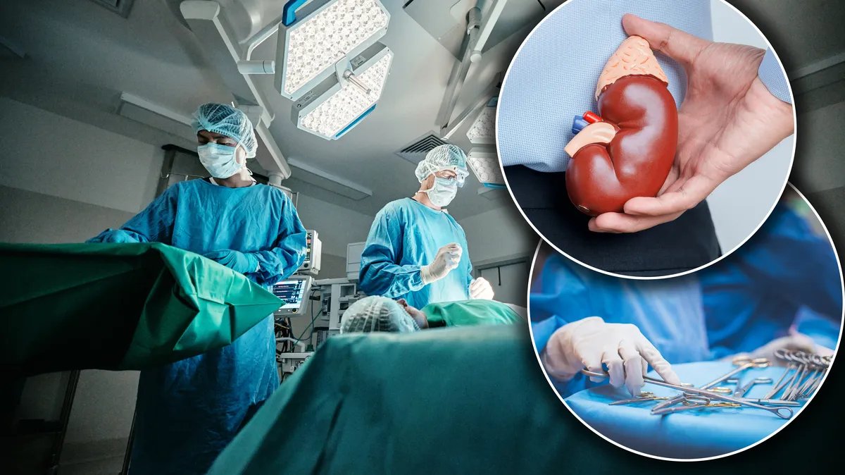 Možete biti donor organa čak i ako to ne potpišete, uvode se dva registra: Uskoro nova pravila o transplataciji, pacijenti traže i podršku Crkve