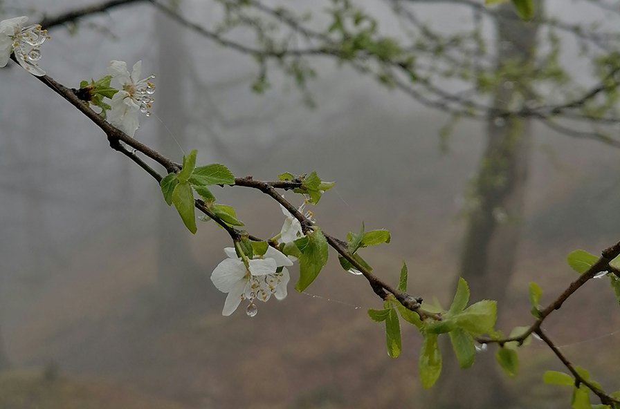 Jutro sveže, tokom dana promenljivo oblačno uz sunčane intervale