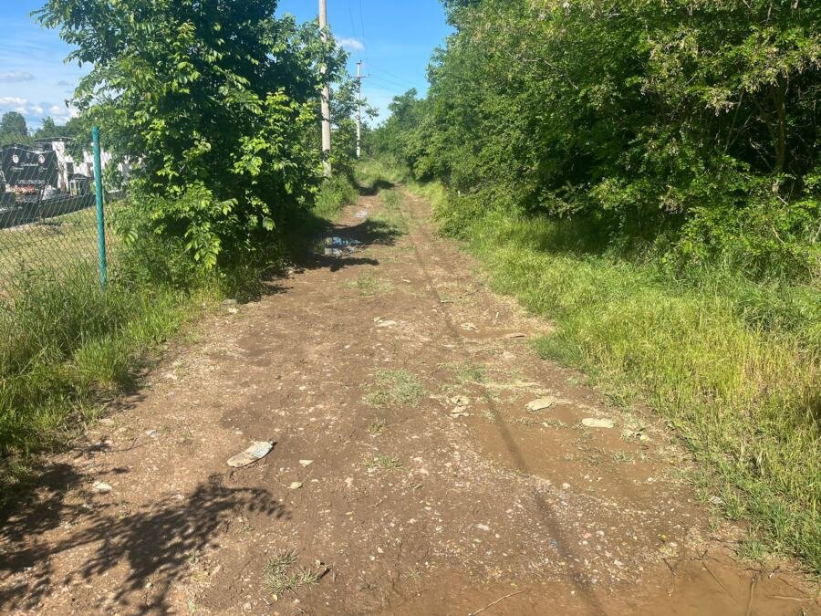 "JEDAN BIO UMOTAN U ĆEBE, DRUGI KRVARIO NEDALEKO OD NJEGA" Prve slike iz Obrenovca gde se sinoć odigrala drama s migrantima: Mislimo da su doneti tu! (foto)