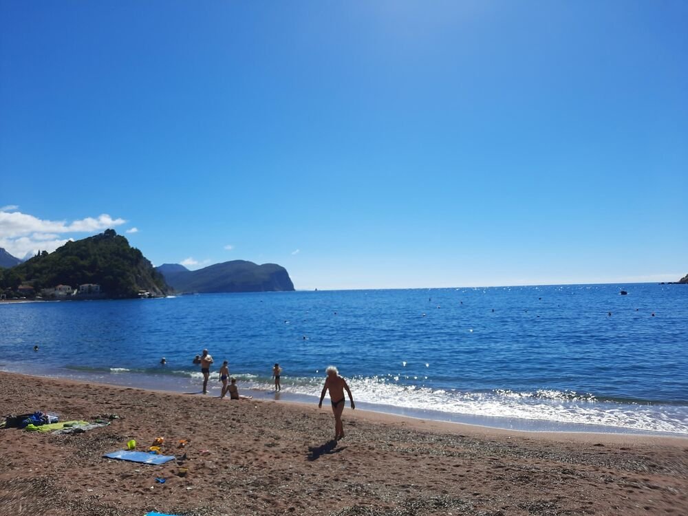 OPASNA RIBA SE POJAVILA U CRNOJ GORI: Njen otrov je SMRTONOSAN čak i u malim količinama, PRIMEĆENA JE KOD BUDVE!
