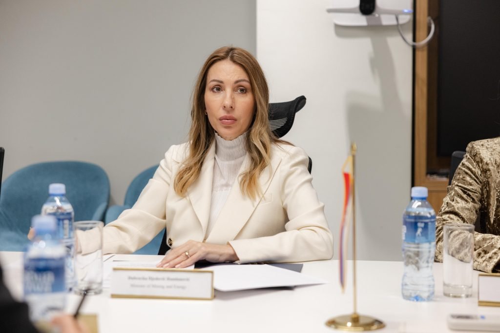 Đedović Handanović: Srbija nije zadovoljna predlogom MOL-a, pregovori o NIS-u se nastavljaju