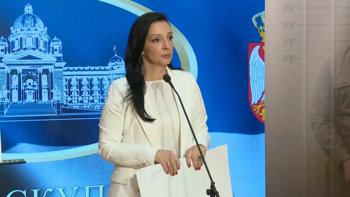 Tepić: Selaković u TOK tvrdio da Generalštab nikada nije bio zaštićen, pozvao se na "Milenkov zakon" (FOTO)