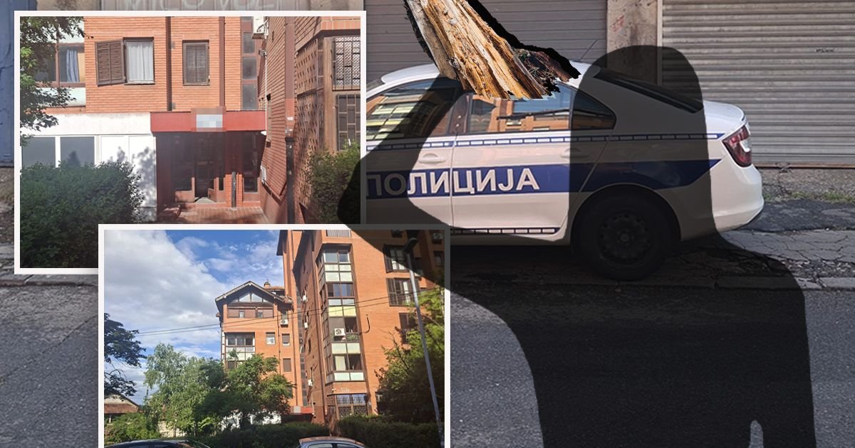 UBILA MUŽA NOGAROM, PA TELO POLILA KISELINOM: Horor na Čukarici, borio se do smrti!