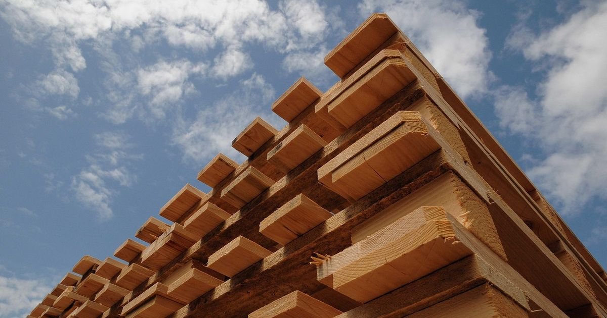 Ruski naučnici razvili i patentirali "providno drvo" koje propušta svetlost