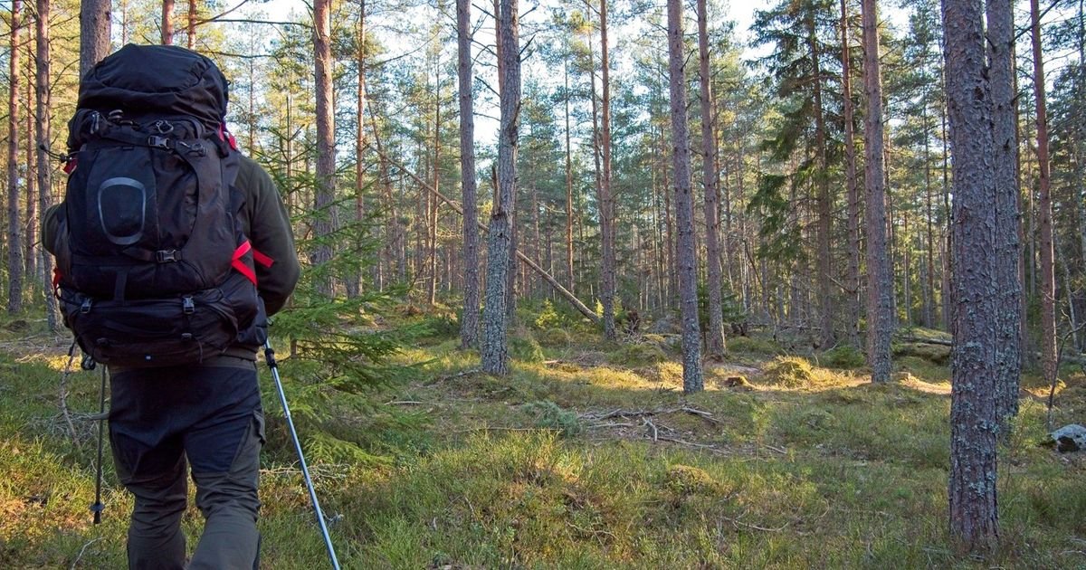 Šetao šumom i ugledao "neobičan sjaj" u zemlji: Pronašao je blago staro 1.000 godina, arheolozi zanemeli