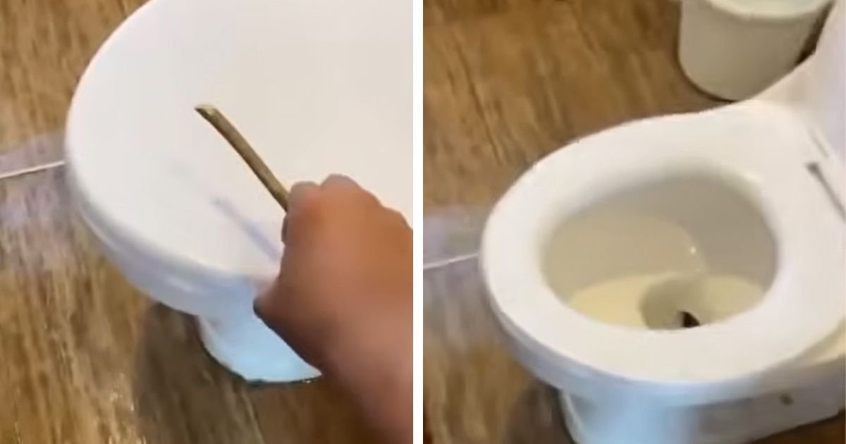 Kad je video šta su izvukli iz WC šolje, gost hotela doslovno zanemeo: Ovo je prava noćna mora!