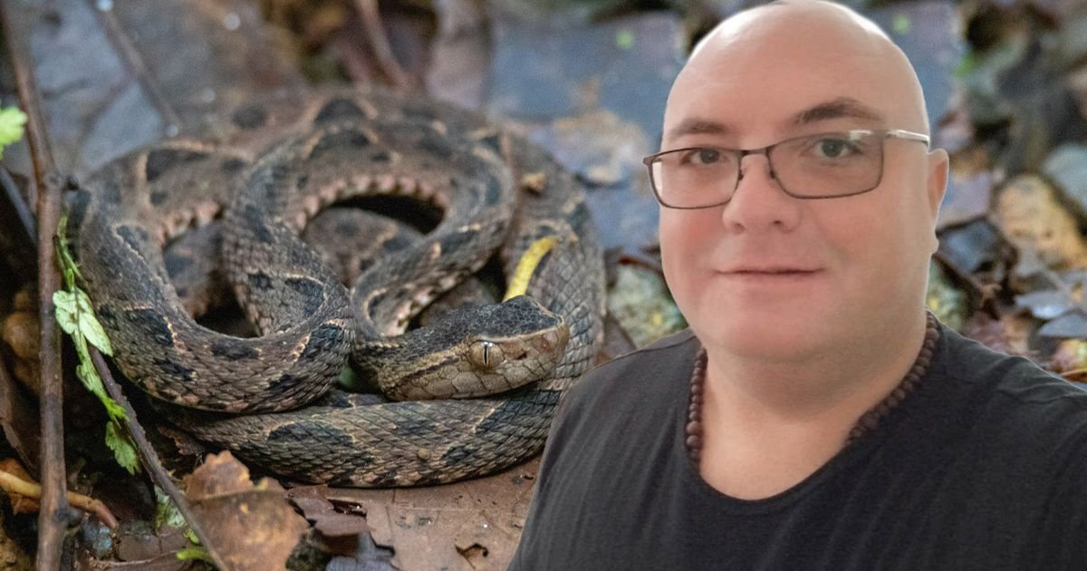 Je l moguće da TO radi 60. put?! Čuveni zmijolovac Vladica sve iznenadio potezom, ovo je on kad ne hvata zmije