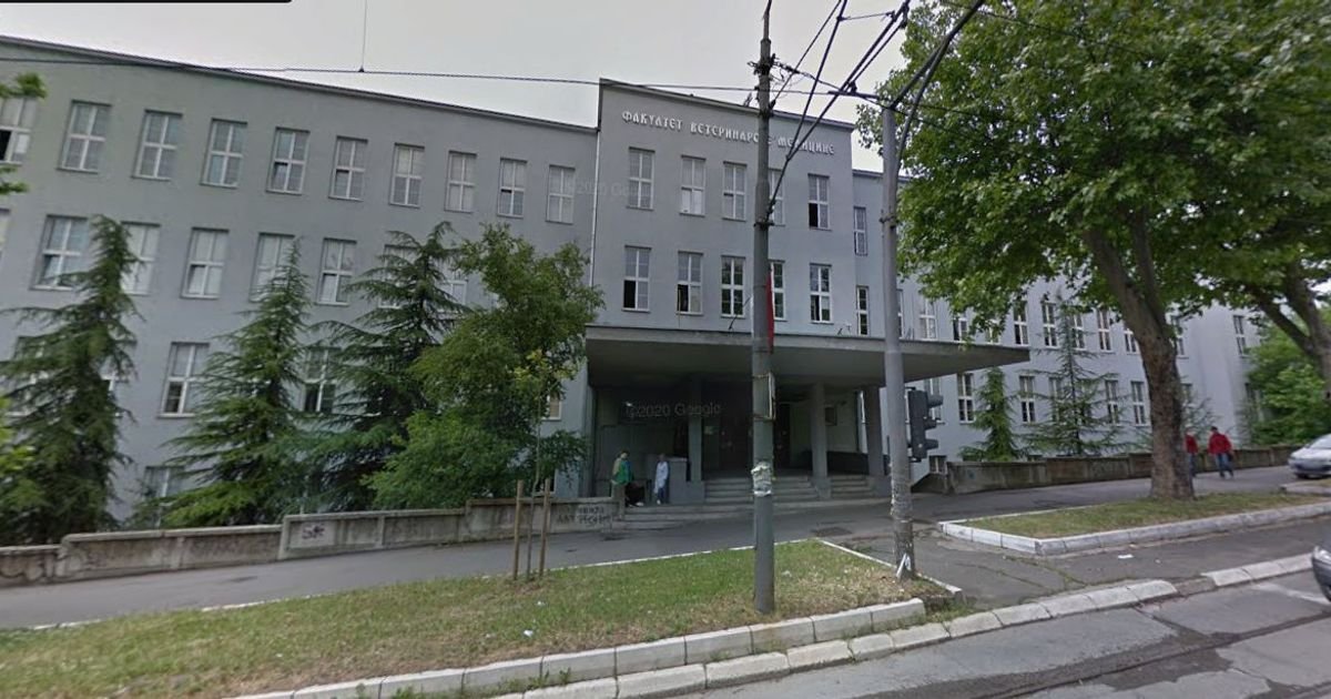 Slavica nije imala mleka, spremali joj klanicu, pa usledio obrt: Za dan skupili 150.000 dinara i otplatili je
