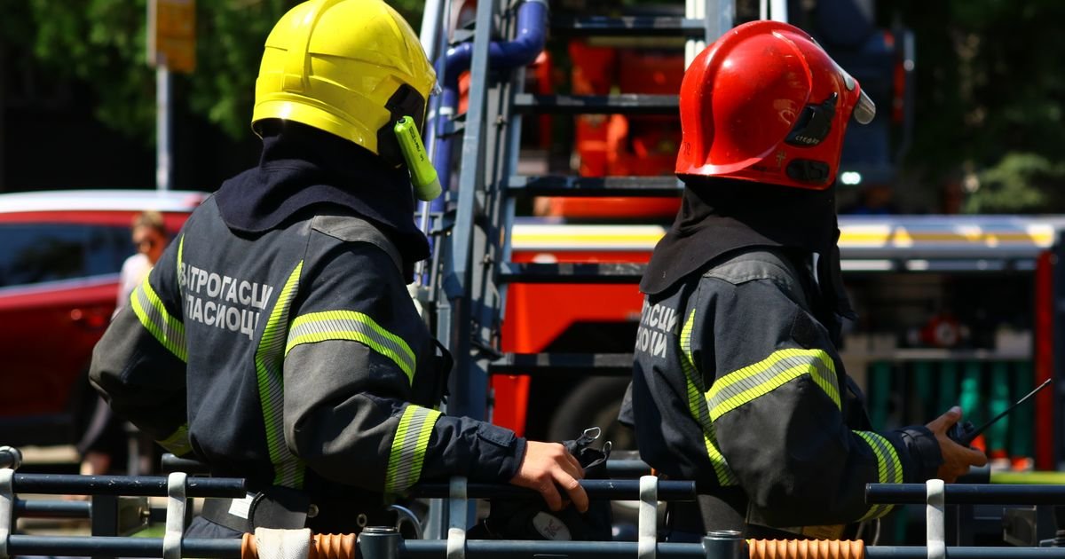 Evo šta je izgorelo u velikom požaru na Čukaričkoj padini