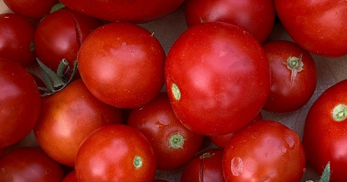 Ako paradajz izgleda ovako, pun je hemije: Proverite peteljku pre svake kupovine