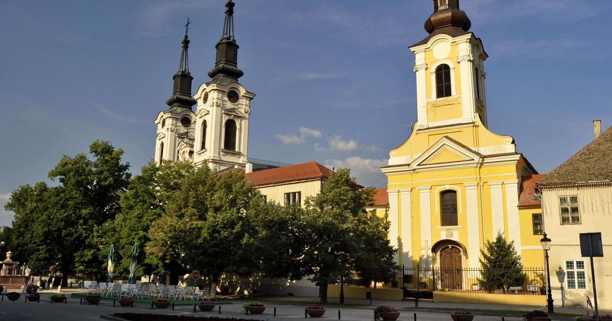 Danas godišnjica proglašenja Srpske Vojvodine - 1848. u Sremskim Karlovcima