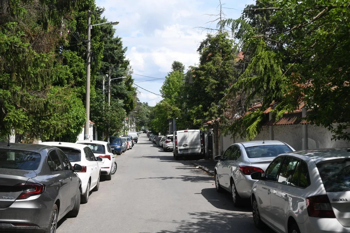 Oglasilo se Više tužilaštvo o slučaju nestanka Aleksandra Nešovića Baje