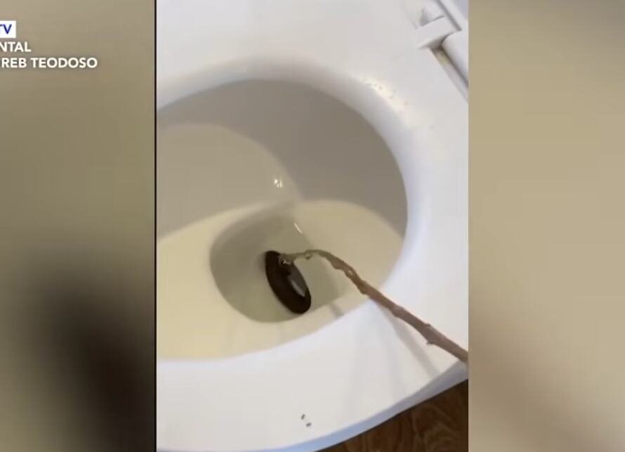 Ovo je prava noćna mora: Kad je video šta su izvukli iz WC šolje, gost hotela doslovno zanemeo (video)