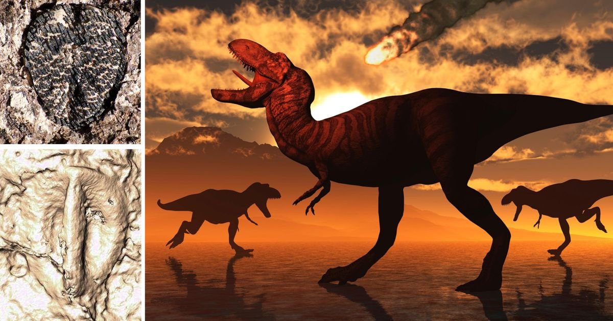 9.000 stepeni i talasi od 4 kilometra: Ovako je izgledao sudnji dan koji je zbrisao dinosauruse sa lica Zemlje