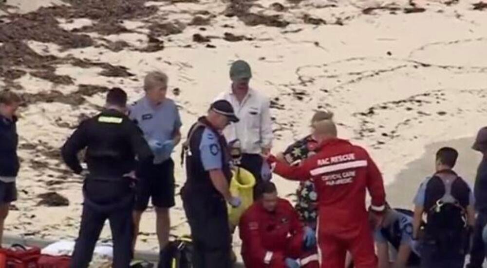 BELA AJKULA OD 5 METARA RASKOMADALA MUŠKARCA U PLIĆAKU: Turisti sve gledali, VRIŠTAO JE NA SAV GLAS (VIDEO)