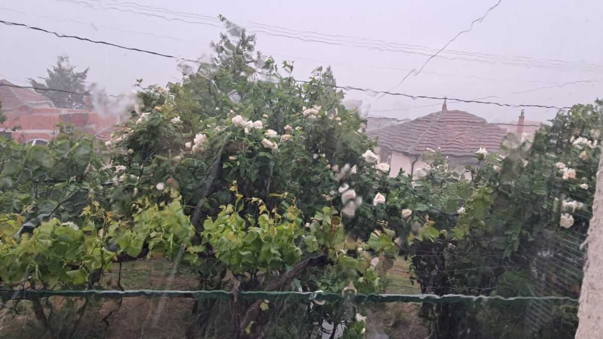 Stravična oluja pogodila jug Srbije: Počeo da tutnji i grad, olujni vetar prekinuo internet i kablovsku televiziju u nekim delovima grada (FOTO/VIDEO)