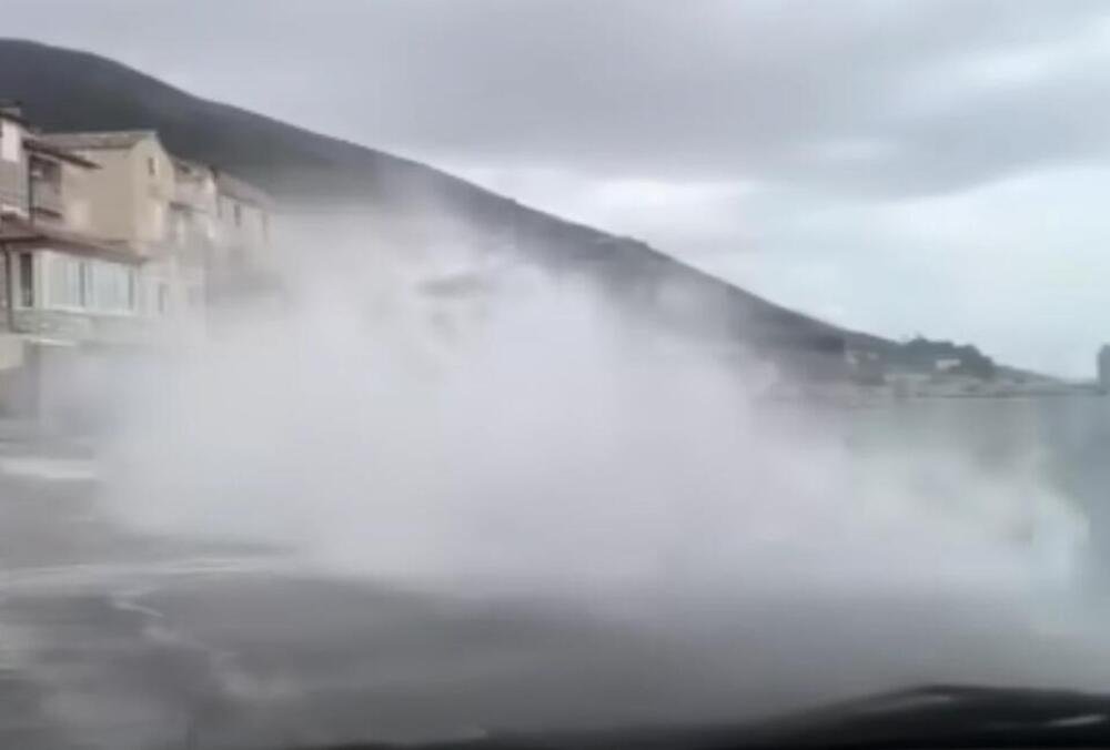 Džinovska pijavica u Hrvatskoj, ljudi se hvatali za glavu od prizora: Kad vidite ovo, sledićete se u mestu (FOTO)