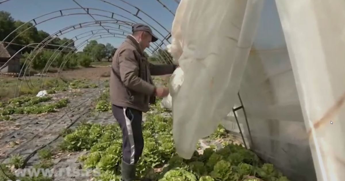 Mašićima je za 15 minuta priroda uništila život: Lomilo i nosilo je sve živo, izgubili su više hiljada evra