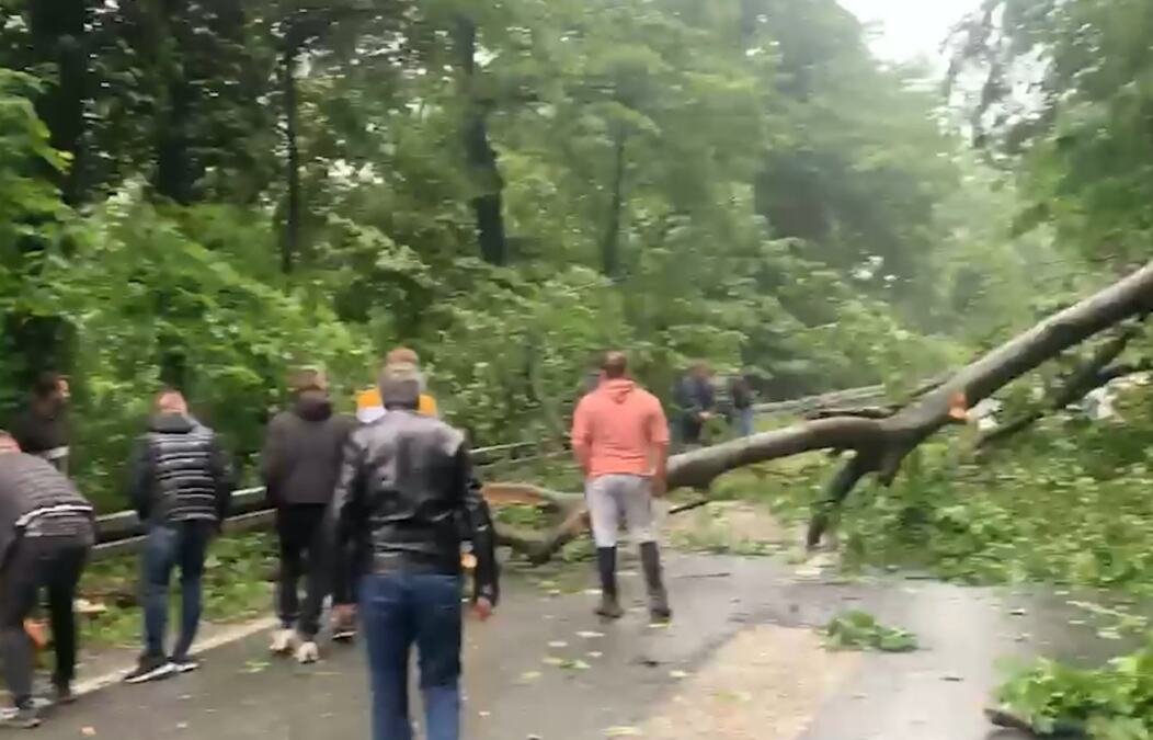 OLUJA ČUPA DRVEĆE NA FRUŠKOJ GORI Stablo palo na put, saobraćaj u kolapsu! Ljudi pokušavaju da ga pomere (VIDEO)